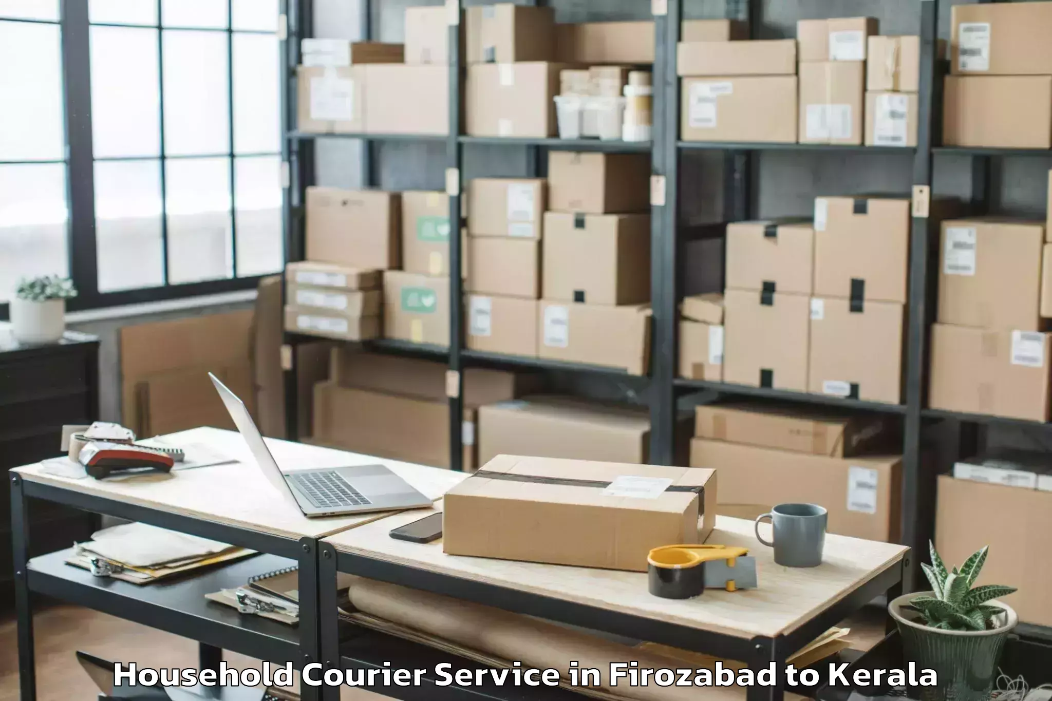 Professional Firozabad to Angamali Household Courier